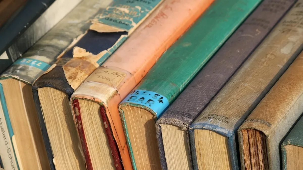 Anthologies And Edited Collections